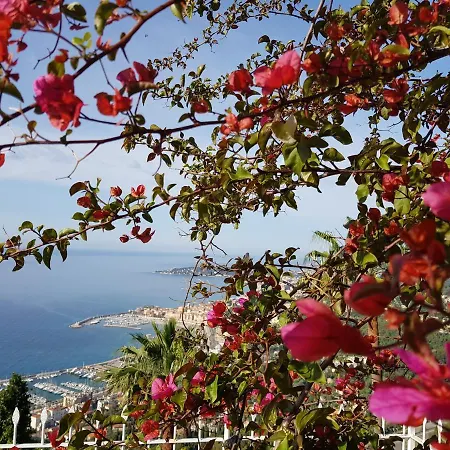 Olguita 招待所 芒通