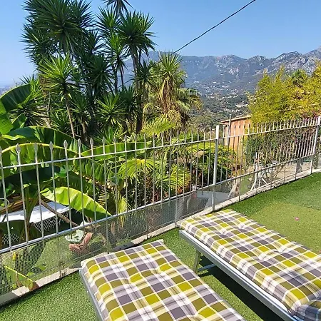 Guest house Olguita