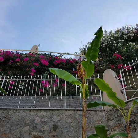 Olguita Guest house *